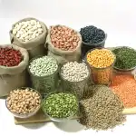 Food Grains